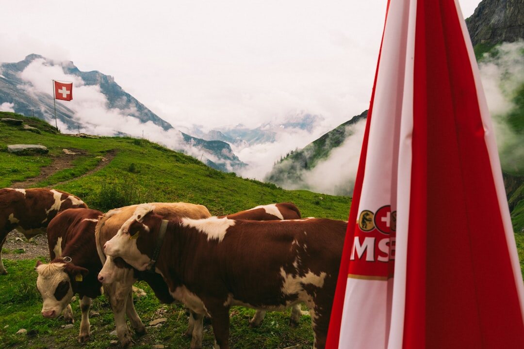 swiss festival parade