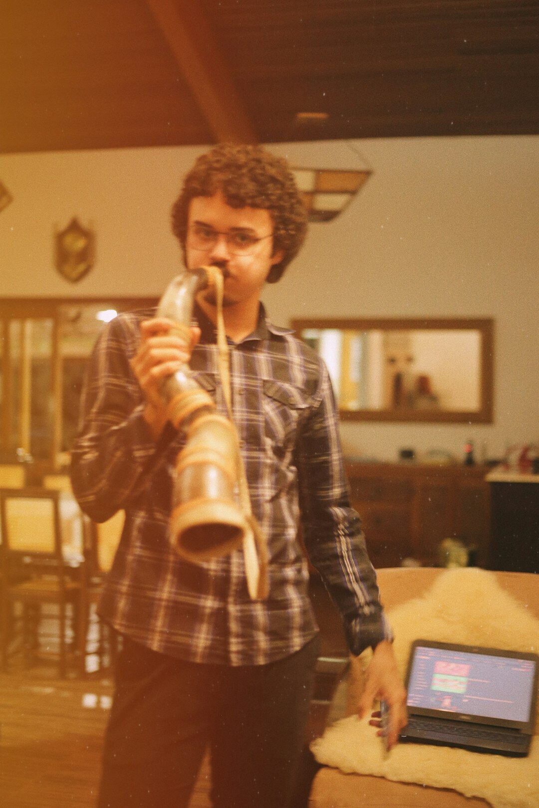 alpine horn player