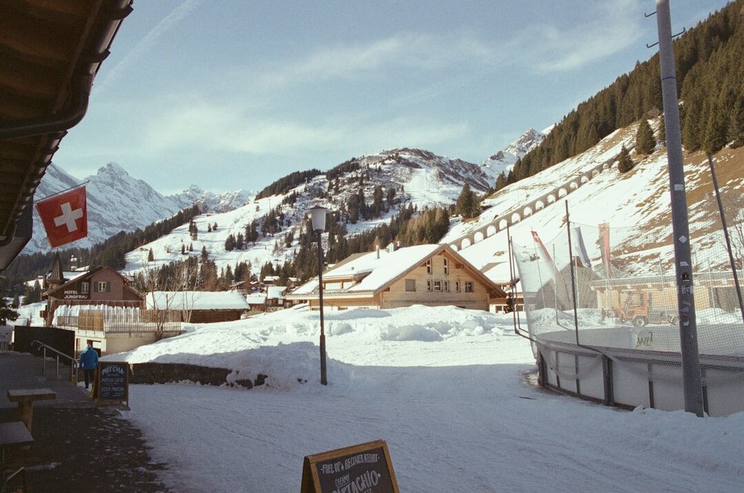 swiss alps with flag